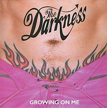 The Darkness - Growing on me