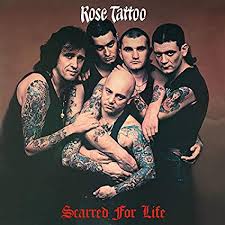 Rose Tattoo - Scarred for Life