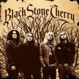 Black Stone Cherry - album omonimo