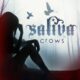 Crows – Saliva