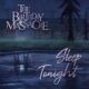 Sleep tonight – The Birthday Massacre