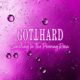 Smiling in the pouring rain – Gotthard