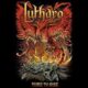 Time to rise – Lutharo