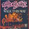 Walk This Way - Aerosmith